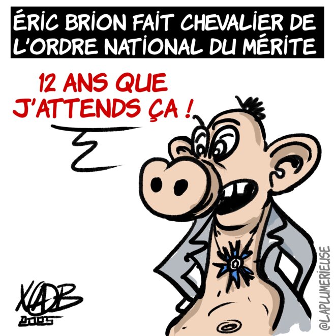 Décore ton porc !