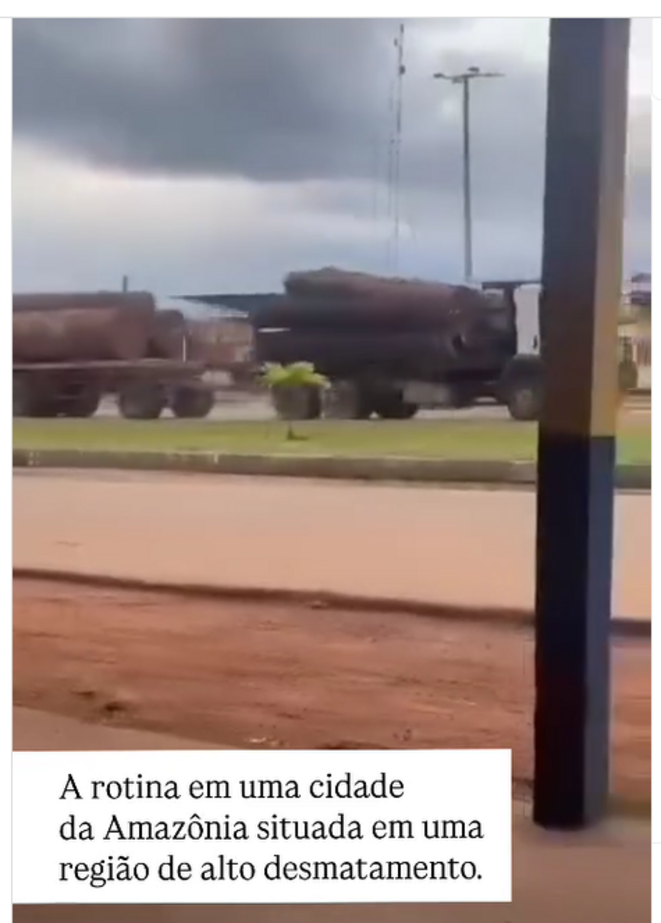 Le Roraima, la déforestation et la "mafia criminelle amazonienne"