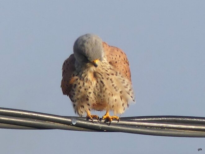Rencontre pour un samedi
