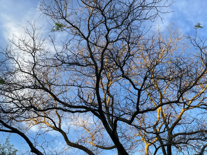 Les approximations de la météo