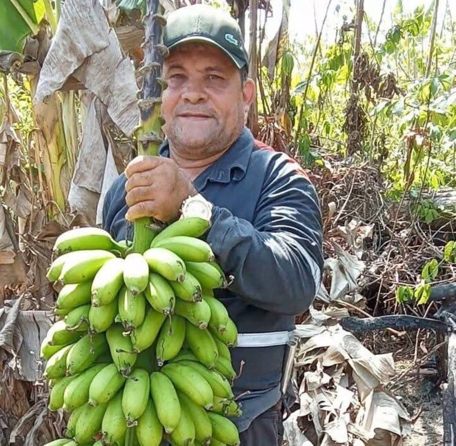 Au Pará (Brésil), les cadavres des défenseurs de l'environnement s'empilent