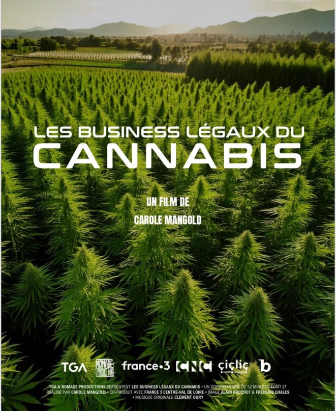 LES BUSINESS LÉGAUX DU CANNABIS