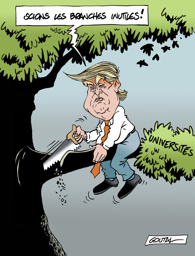 Scie-scie, imperator