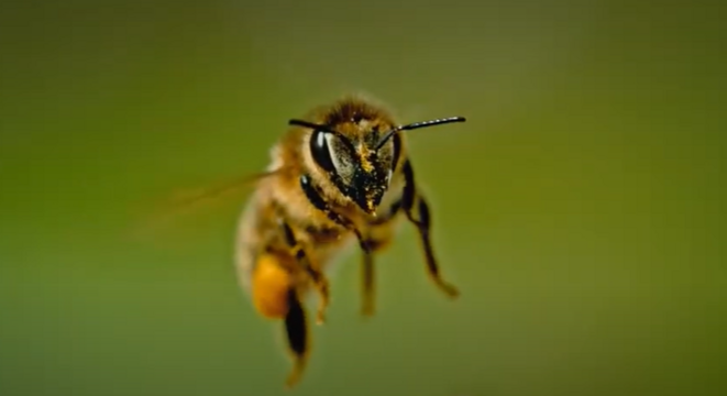 Quand on y réfléchit... on avait.. vraiment tout n'est-ce pas?
