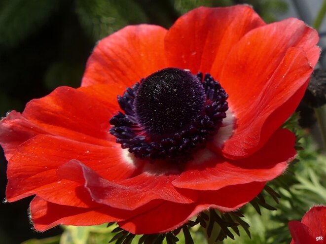 Immense merci à Raphaël PITTI, médecin humanitaire