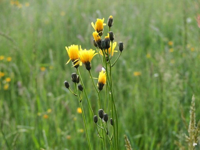 Seulement quelques images