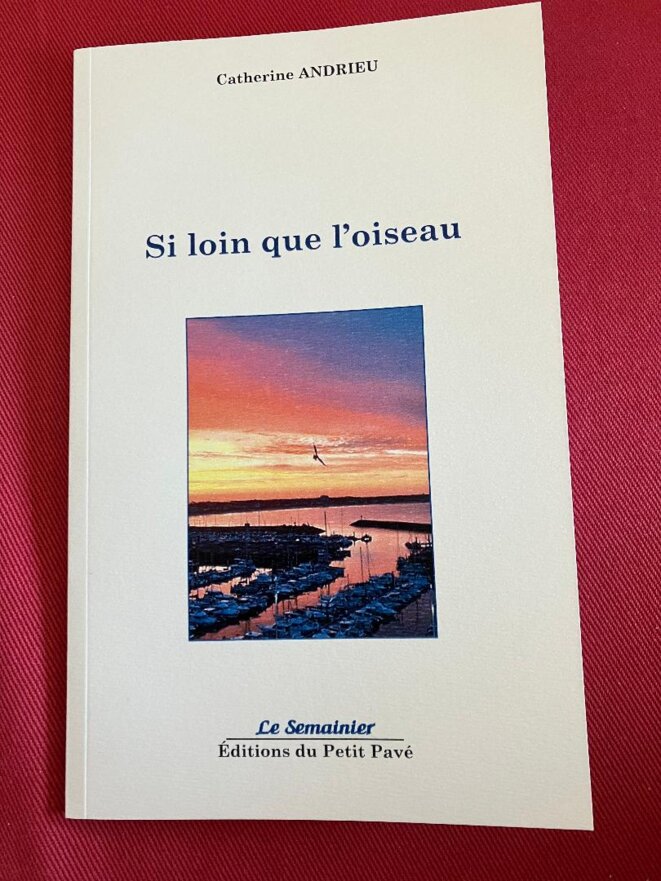 Un livre de poèmes en  hommage de Catherine Andrieu au poète disparu Daniel Brochard