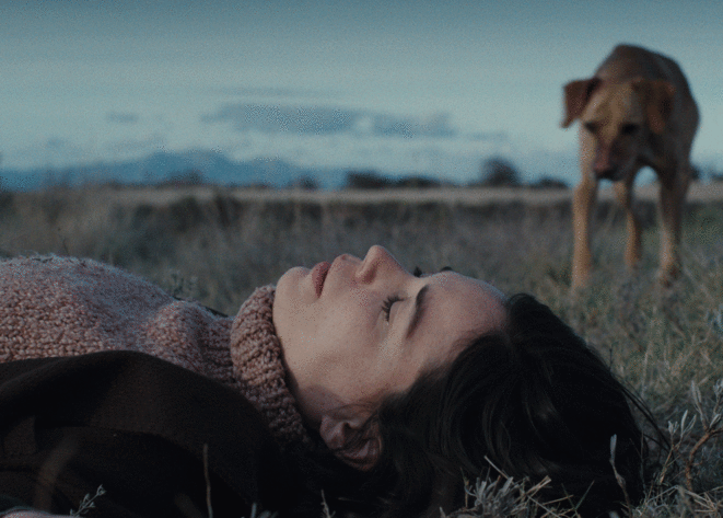 "Un amor" d'Isabel Coixet