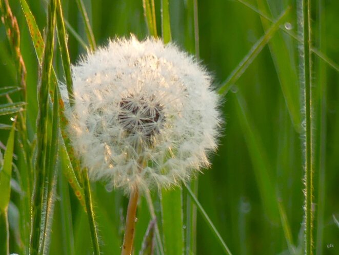 Le courage n’est plus ce qu’il était…