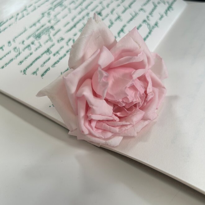 « J’utiliserai mes maux comme une force pour soutenir ceux des autres »