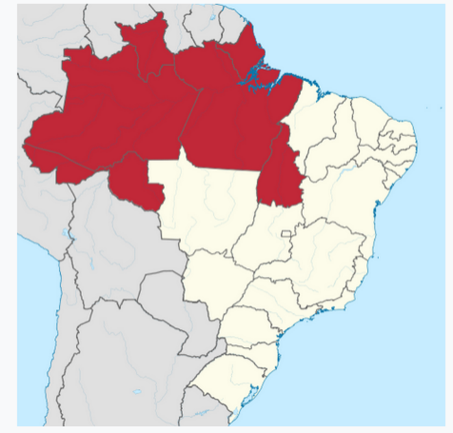Les Brésiliennes et les Brésiliens: l'étude d'ADNs révèle des métissages insoupçonnés