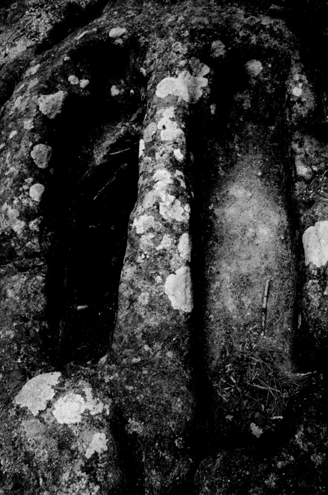 Quand la mémoire devient trahison : Israël, Gaza et l’insulte à la Shoah