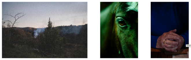 Naviguer entre les images -  Penser la pratique photographique comme un archipel