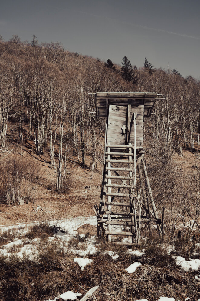 De Gaza à Berlin : la tentation de la victoire totale