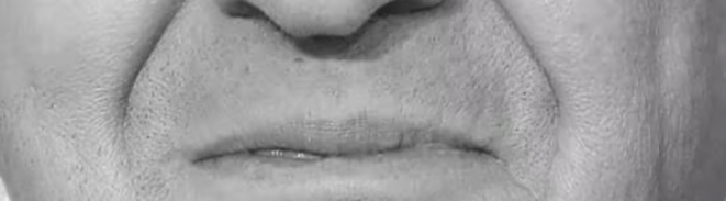 "La Meute" : Mélenchon, le Grand Méchant Loup ? (3/3)