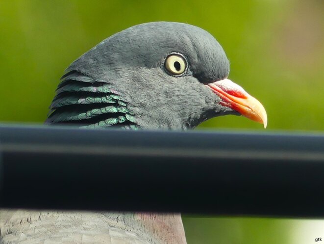Ils sont venus, ils sont presque tous là