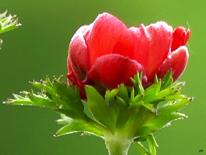 Il n’est jamais trop tard