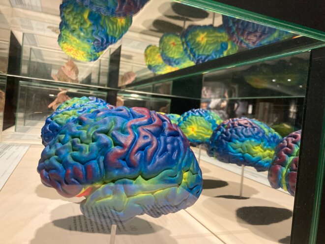 Attention, enfants ! (18) Troubles attentionnels et management neuro-identitaire