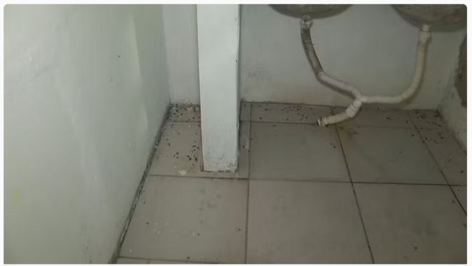 Au Brésil, des ehpad privés ne sont épargnés par l'insalubrité et l'inhumanité