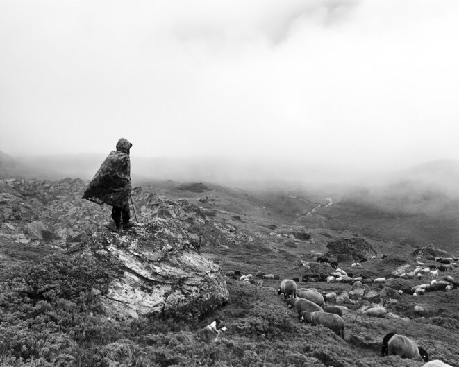 Environnement dans la panade – politiciens dans la parade