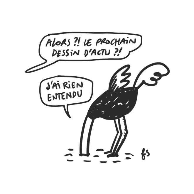 Dans la famille Struthionidae… le dessinateur !