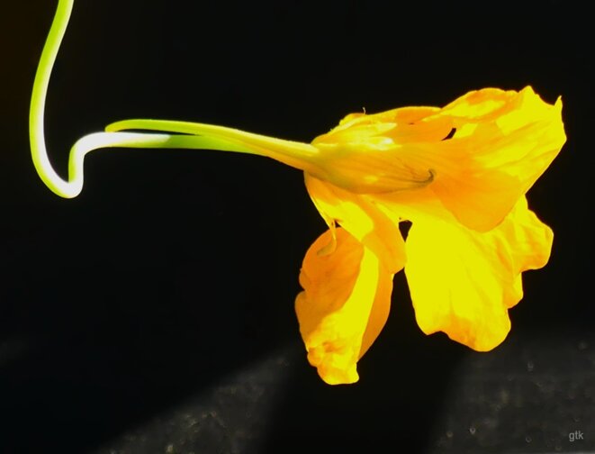 La guerre c’est de la merde (3)