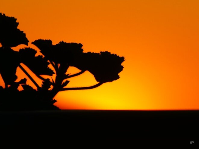 Un, deux, trois, Soleil