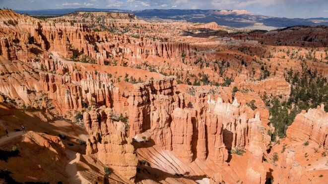 Autisme et septicémie lors de la première semaine de vie
