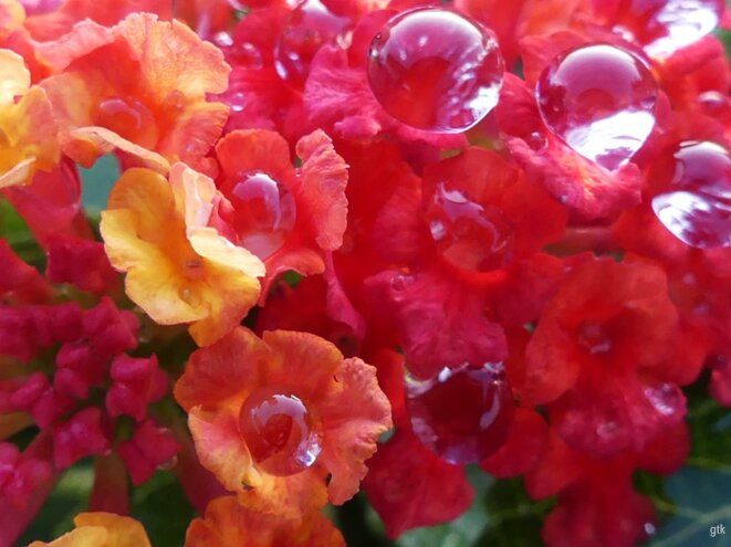 Le racisme, encore et toujours lui