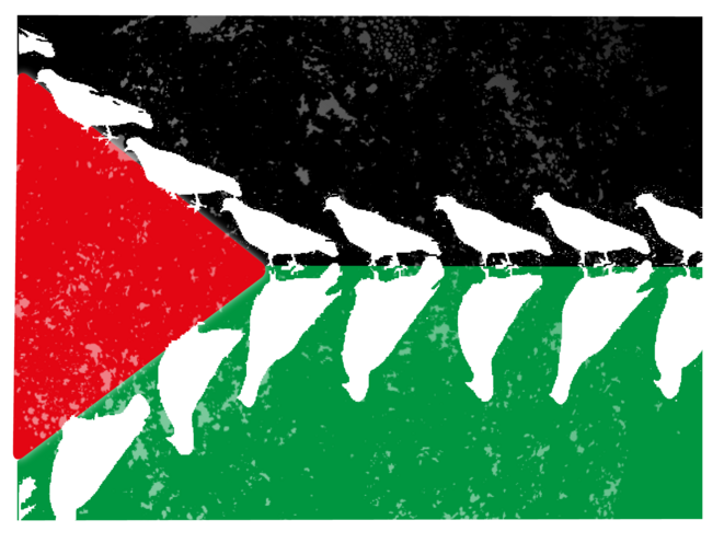 « Debout sur des ruines »