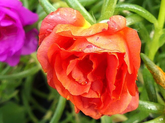 La barbarie en fauteuil