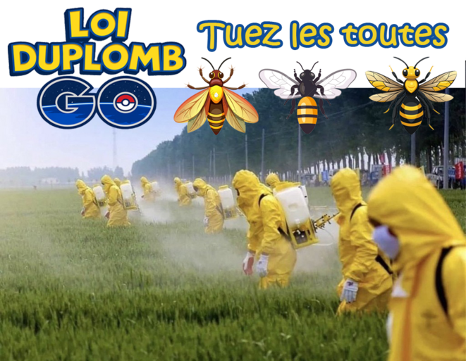 La loi Duplomb réintroduit un pesticide tueur d'abeilles
