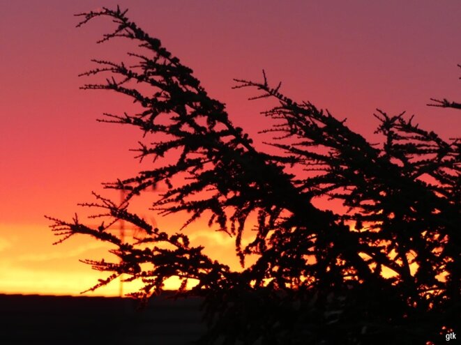 Du soleil et la mésange