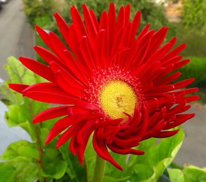 L’extrême droite et la finance