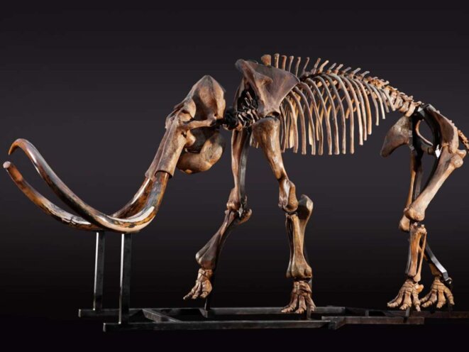 Crop top ou abaya, fais ton choix, femme !