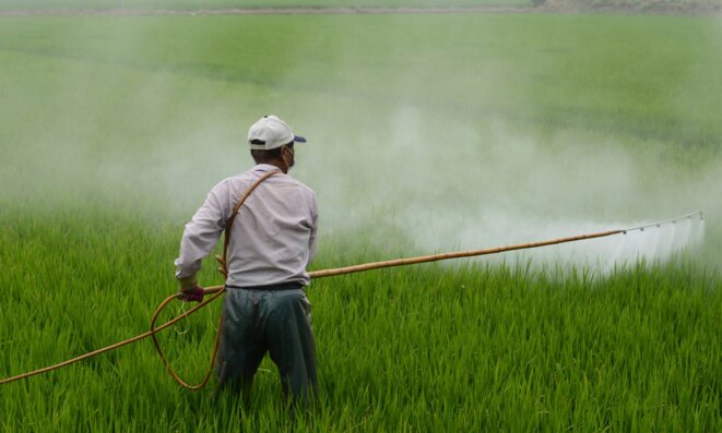 La controverse sur les pesticides en France suscite l'indignation dans tout le pays