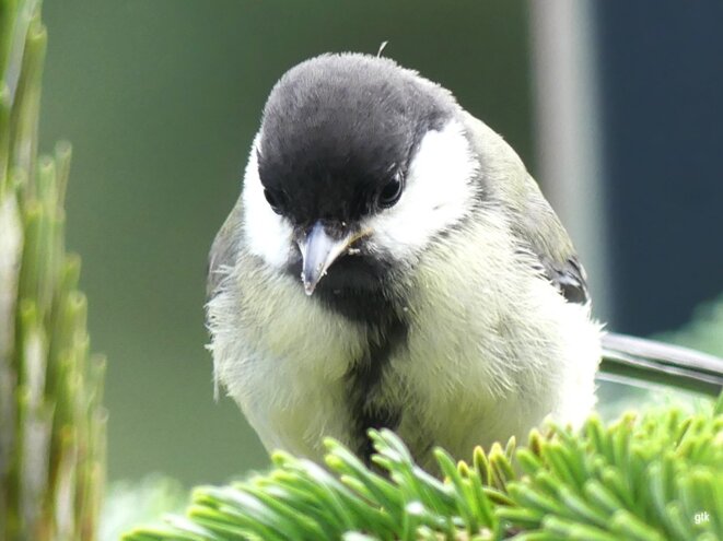 Gaza, un cimetière à ciel ouvert…