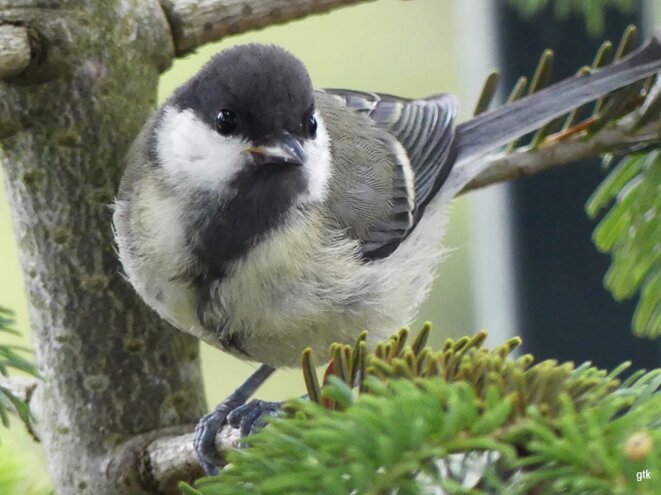 On espère, depuis si longtemps