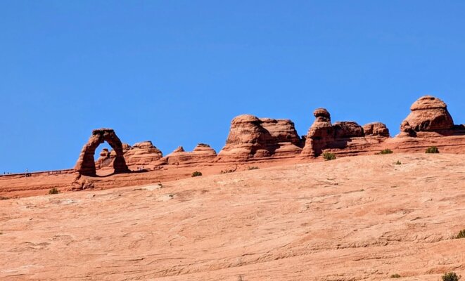 Renouvellement des membres de la CDAPH au 1er janvier 2026