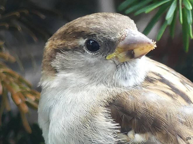 Des morts, encore des morts