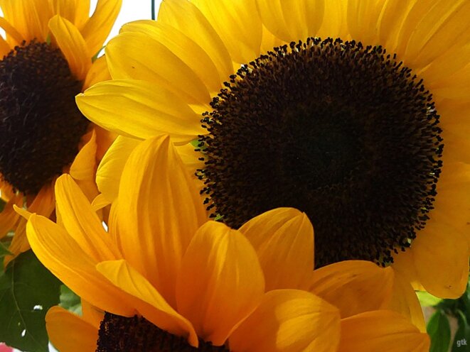 Je ne suis pas juive