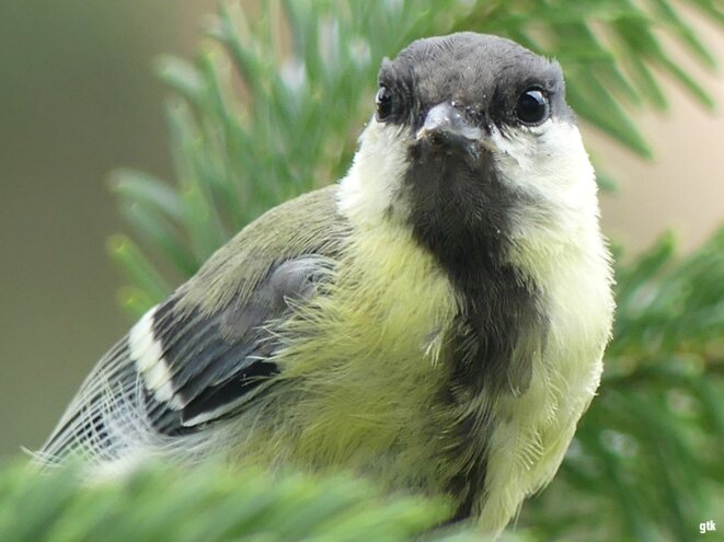 Un humain reste un humain