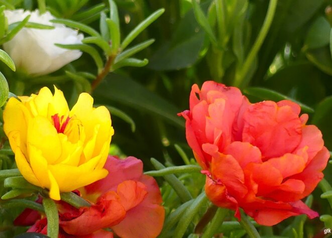 « Indigne et misérable, d’une indécence inacceptable »