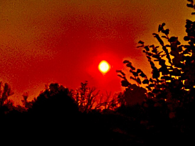 Hiroshima-Nagasaki: 80 ans de voyage au bout de la nuit humaine