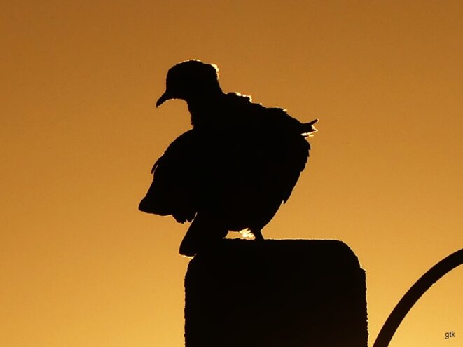 Défendre notre liberté