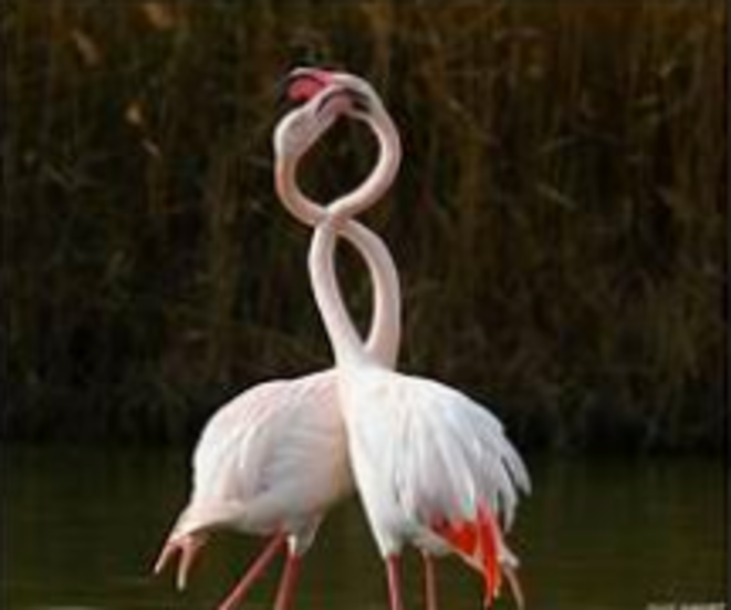 Éterniser, poétiser