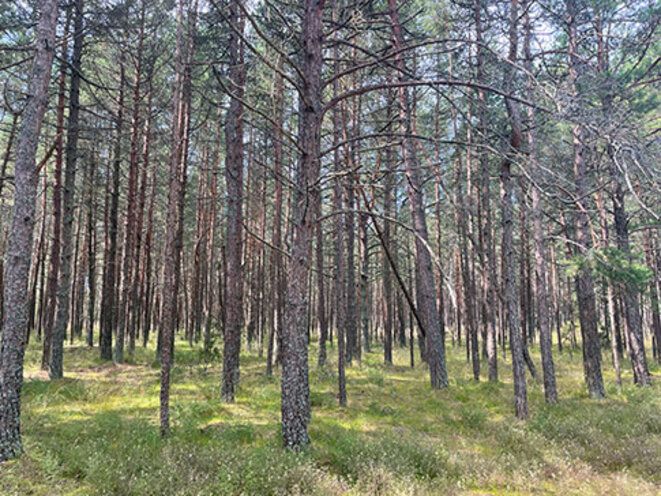 Quatre pays en cinq semaines (1)