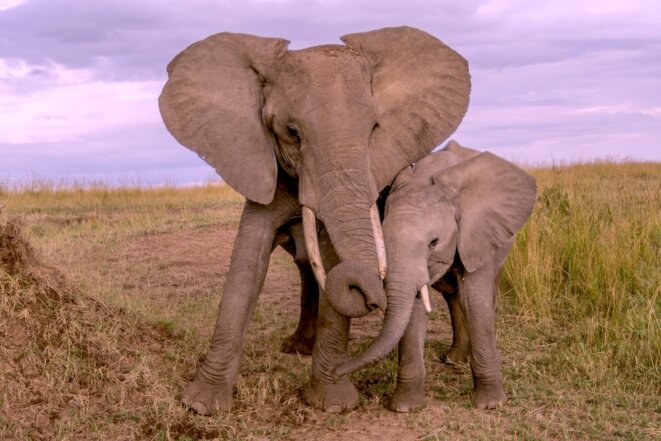 La gauche cul-par-dessus-tête