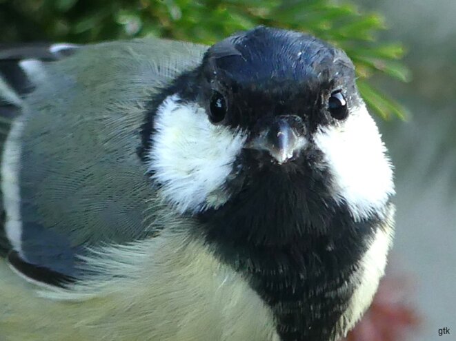 La « gauche » sans LFI et son programme