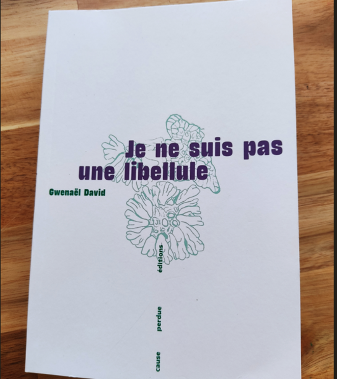 « Je ne suis pas une libellule » de Gwénael David - un livre et plus encore